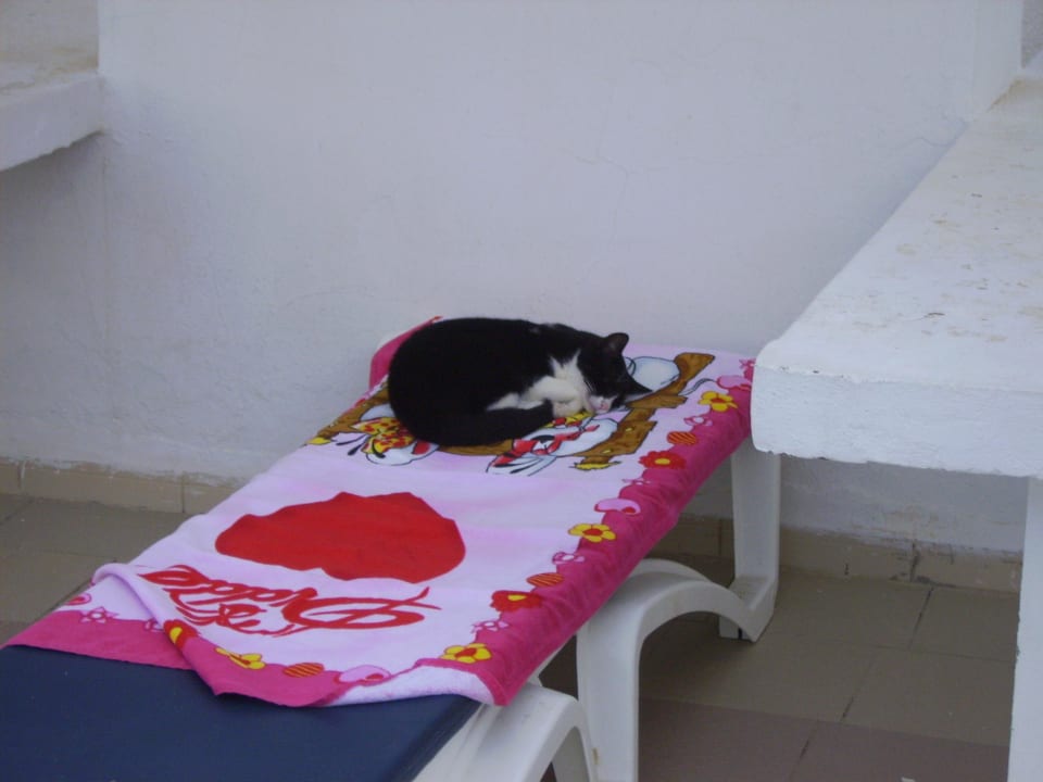 Reservierte Liege Hotel El Mouradi Djerba Menzel