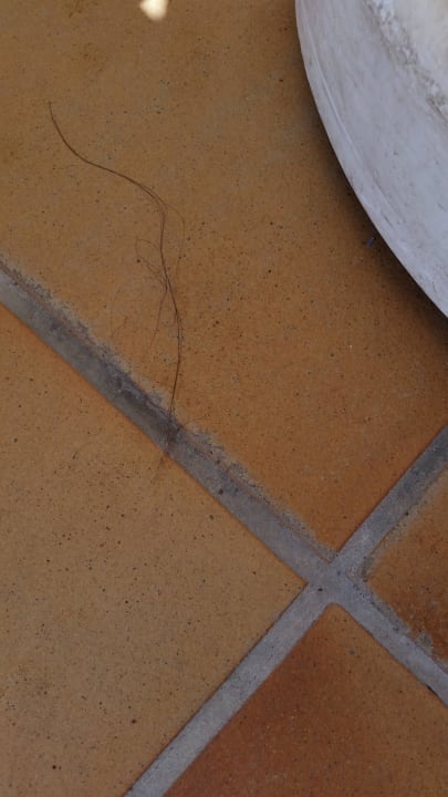 Vies en vuil  Gloria Palace San Agustin Thalasso & Hotel