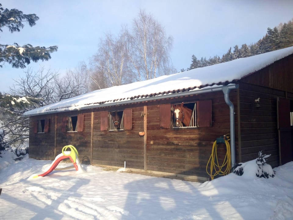 Außenboxen  Landgut Dreiburgenland