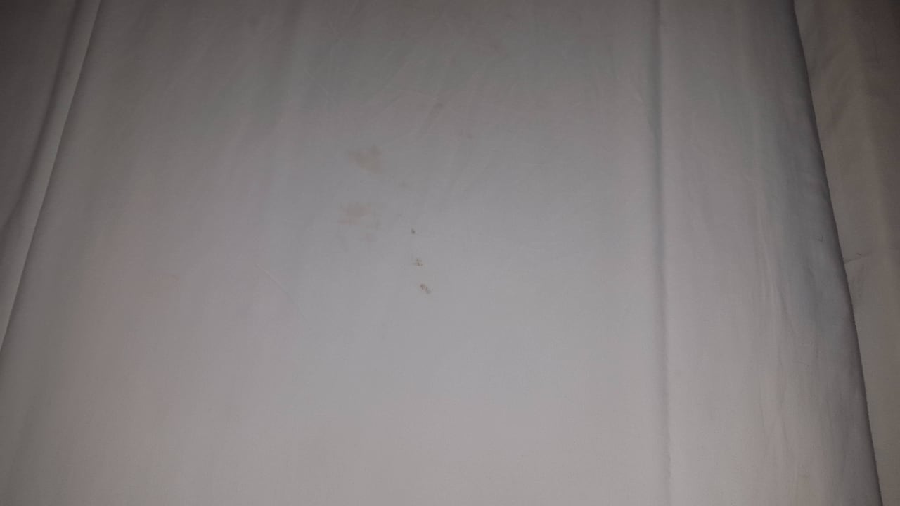 Verschmutzes Bettlaken  Club Palm Bay