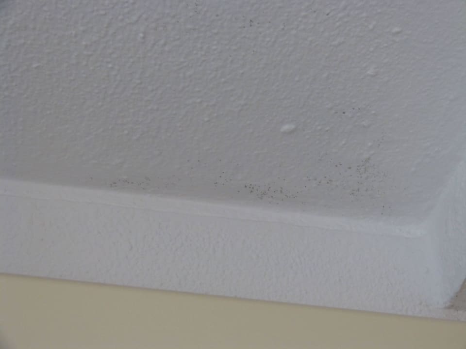 5/6 Tag der Schimmel kommt Monica Isabel Beach Club