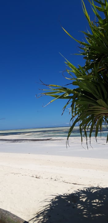 Ausblick Ocean Paradise Resort & Spa