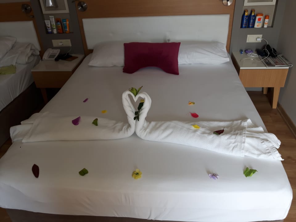 Zimmer Palm World Side Resort & Spa
