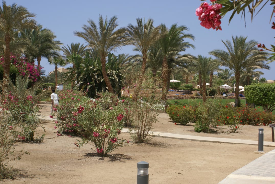 Strandbereich Steigenberger Coraya Beach - Adults only