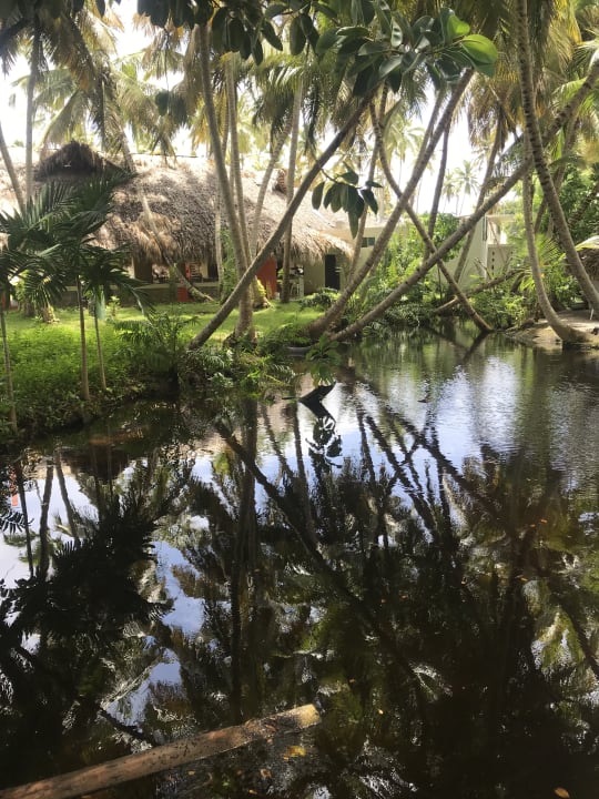 Gartenanlage Wyndham Alltra Samana