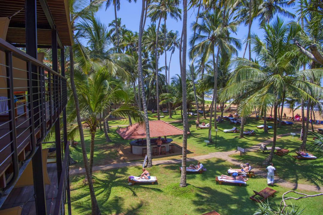 Gartenanlage Mermaid Hotel & Club