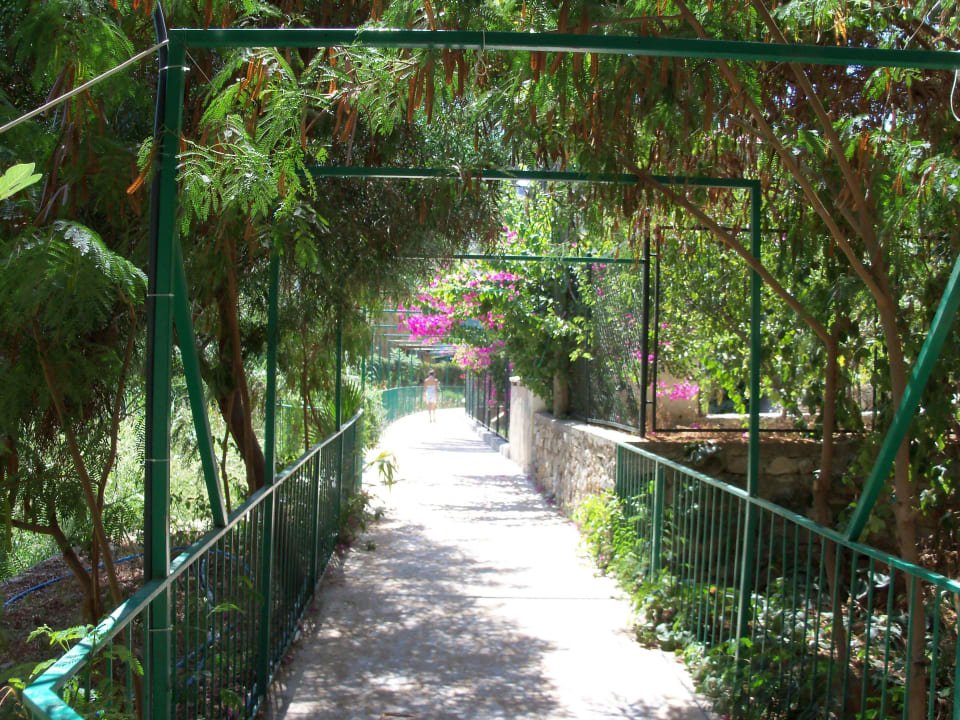 Weg zum Strand My Home Resort