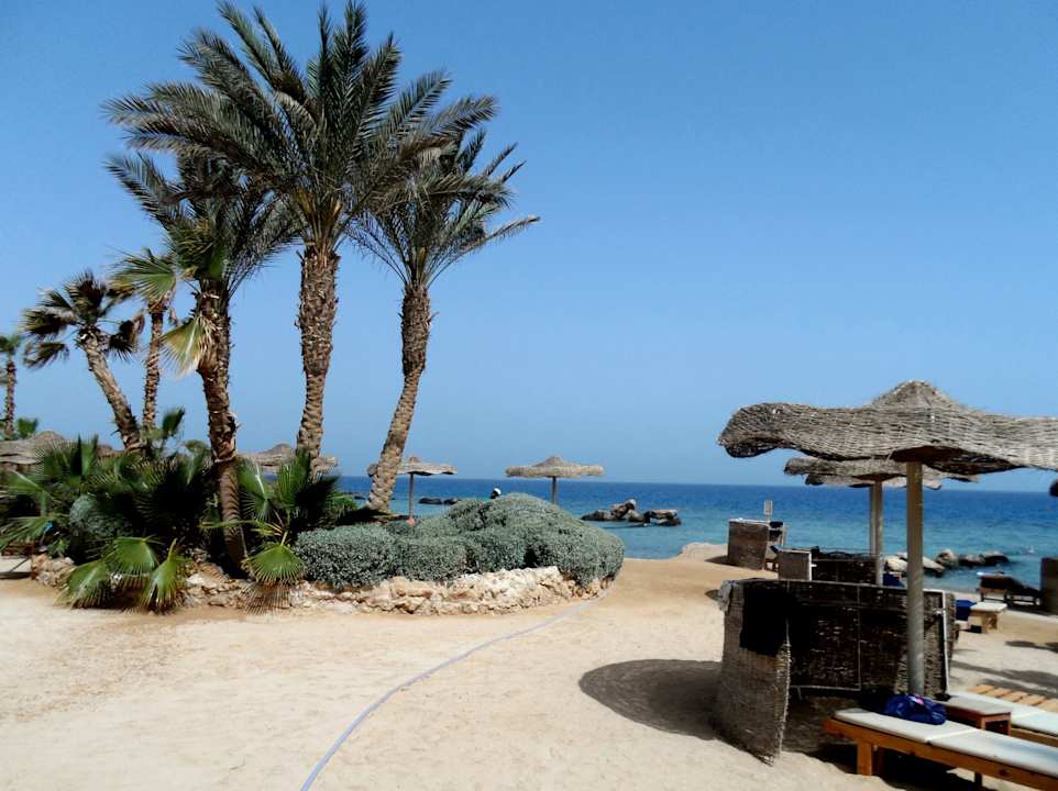 Unter Palmen am Meer Pickalbatros Citadel Resort