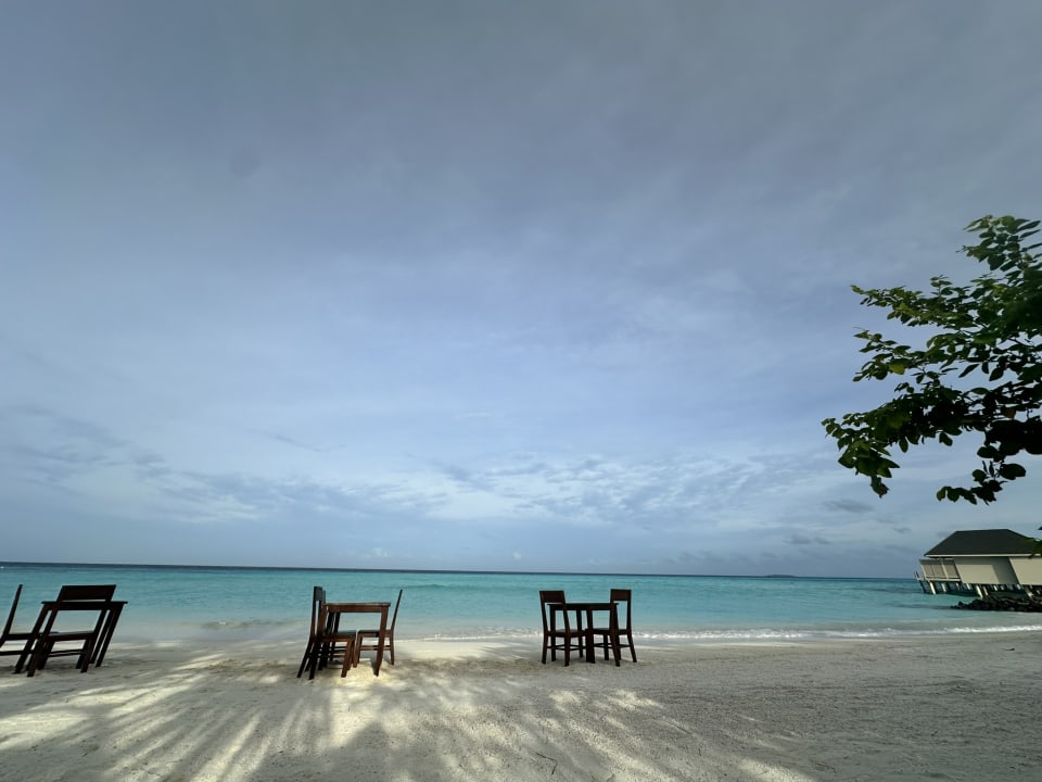 Gastro Summer Island Maldives