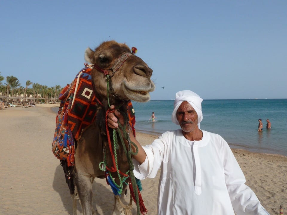 Casanova und sein Guide Palm Royale Resort - Soma Bay