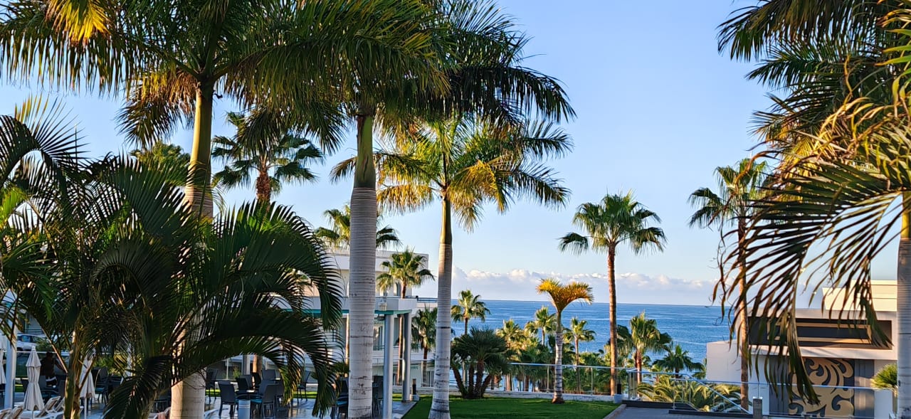 Ausblick Hotel Riu Arecas - Adults only