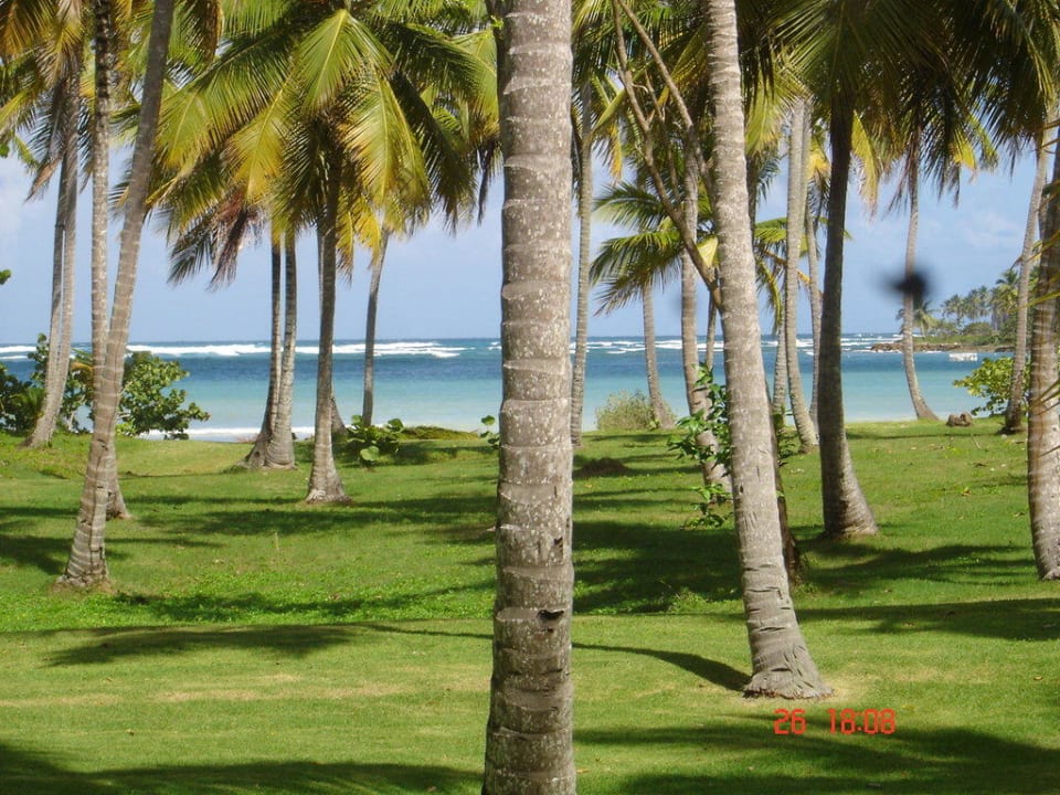 Blick zum Meer Wyndham Alltra Samana