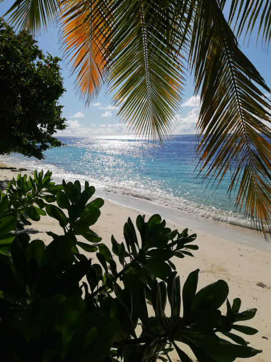 Strand Vilamendhoo Island Resort & Spa