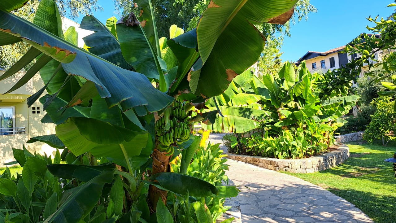 Gartenanlage Melas Holiday Village