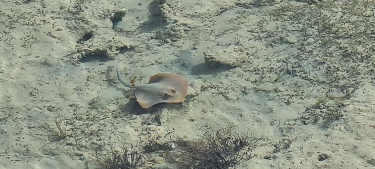 Strand Makadi Spa - Adults only