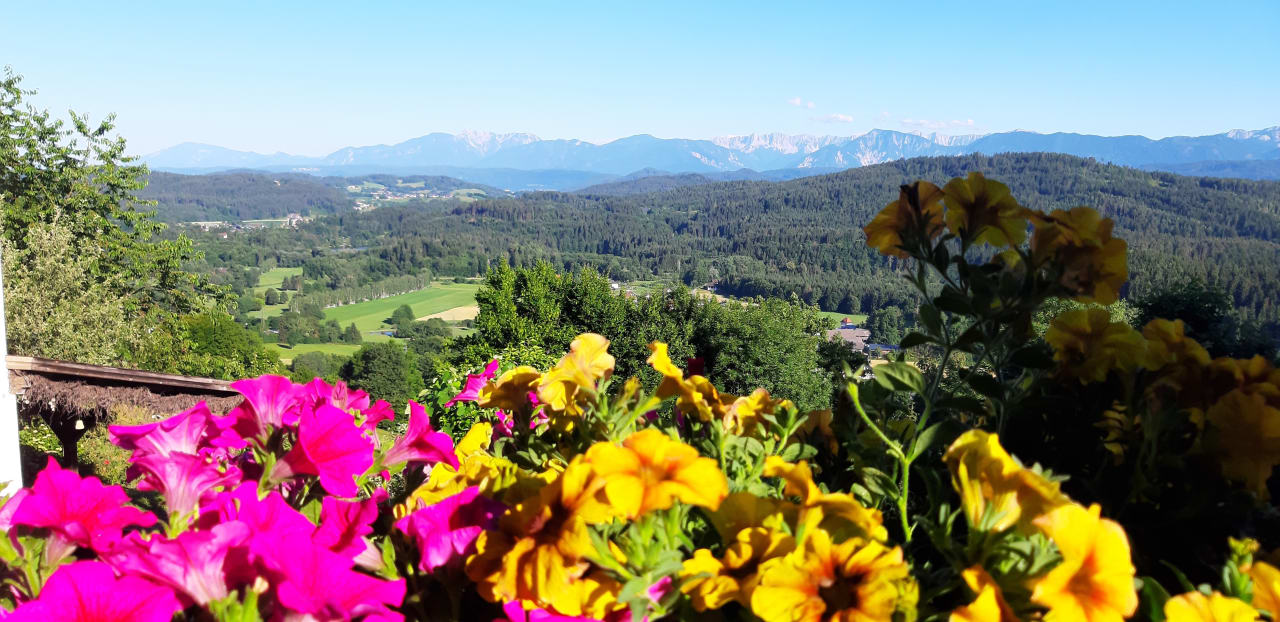 Ausblick Urlaubsbauernhof Wabnig