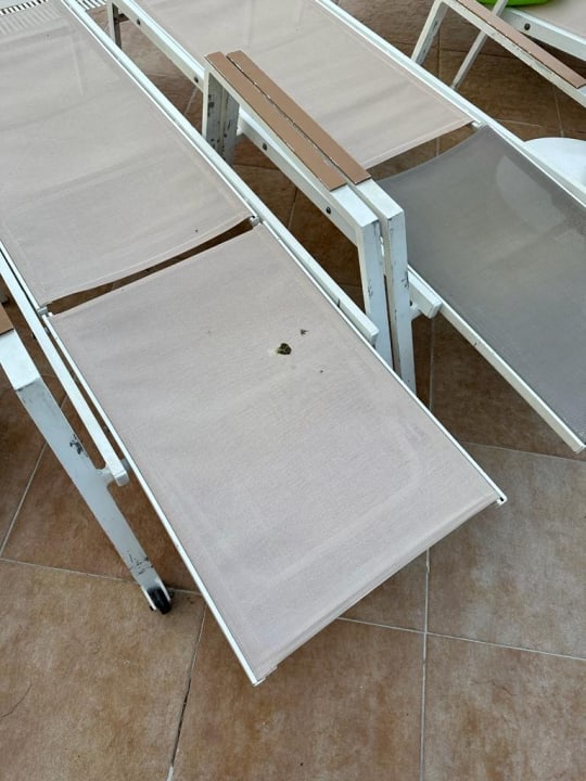 Pool Seaden Sea World Resort & Spa