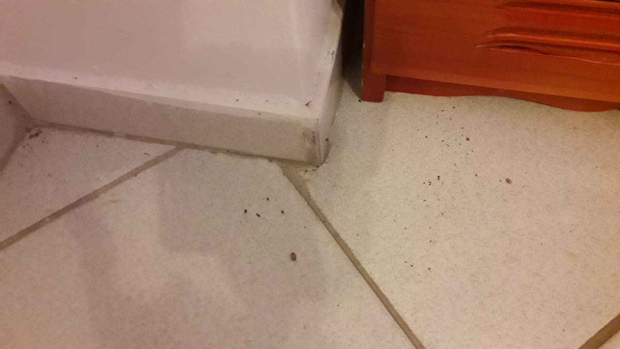 Zimmer Matala Bay Hotel & Apartments