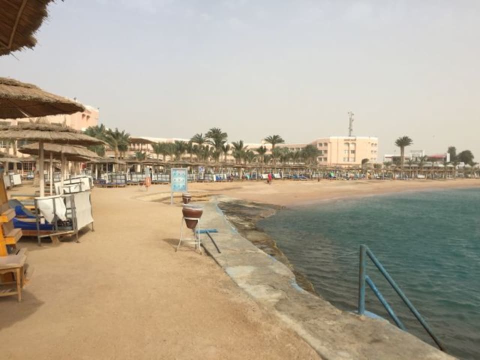 Blick vom Strand Beach Albatros Resort