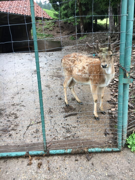 Sonstiges Naturparkhotel Adler