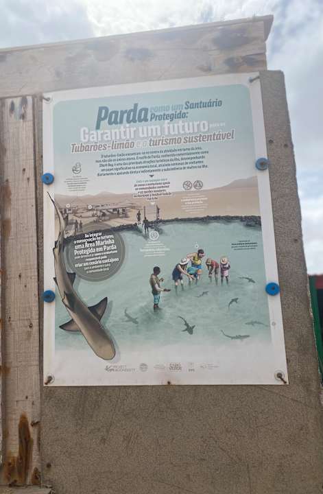 Sonstiges Hotel Riu Palace Santa Maria