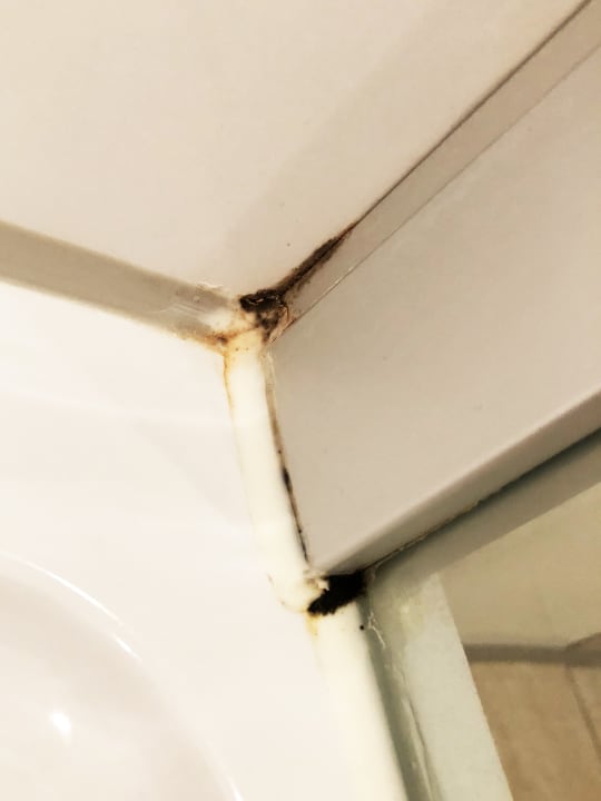 Schimmel in der Dusche Best Western Plus Parkhotel Maximilian Ottobeuren