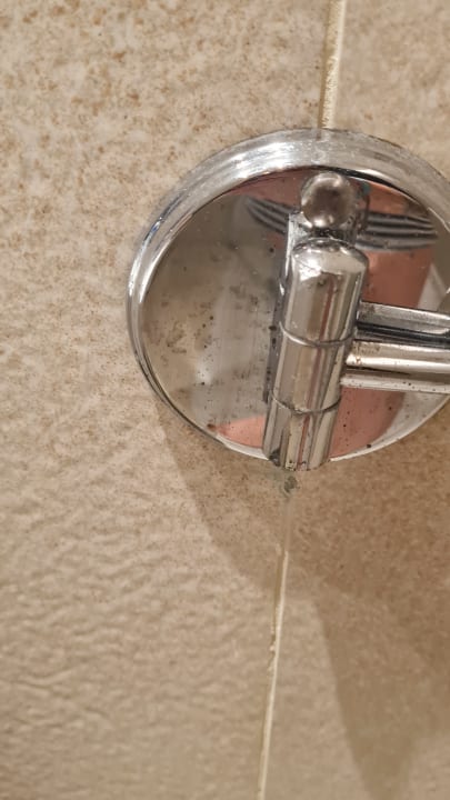 Zimmer Iberostar Selection Albufera Park