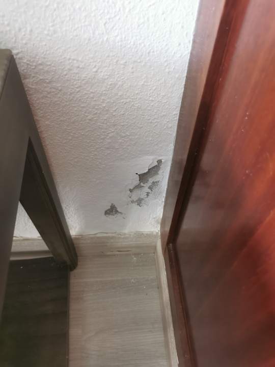 Zimmer SBH Hotel Taro Beach