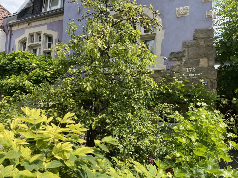 Außenansicht Jugendstil-Hof Guesthouse