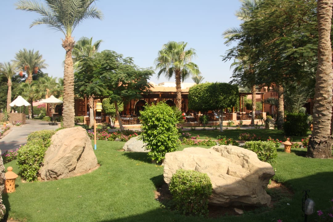 Garten Jaz Makadi Oasis Resort