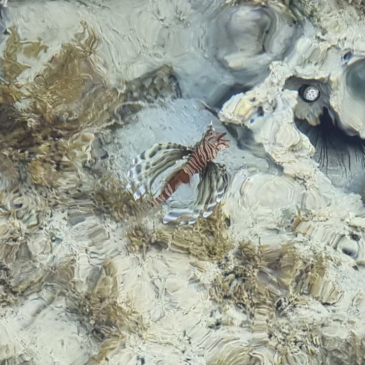 Strand Casa Mare Resort