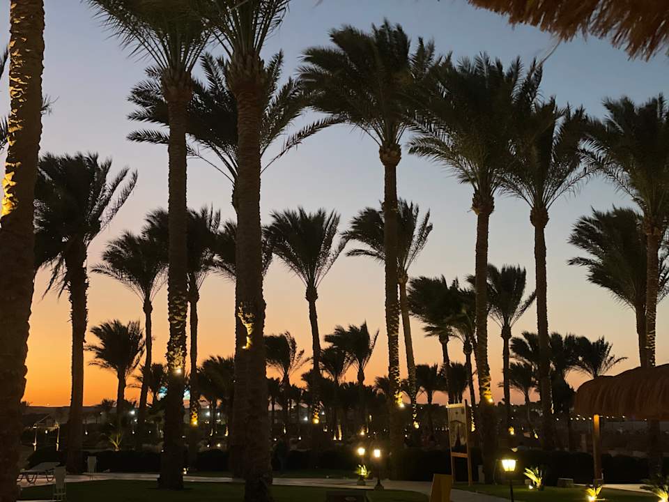 Strand Jaz Solaya