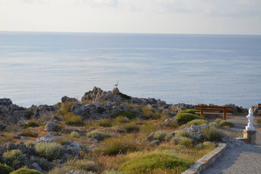 Droga na plaże Hotel Kalithea Horizon Royal