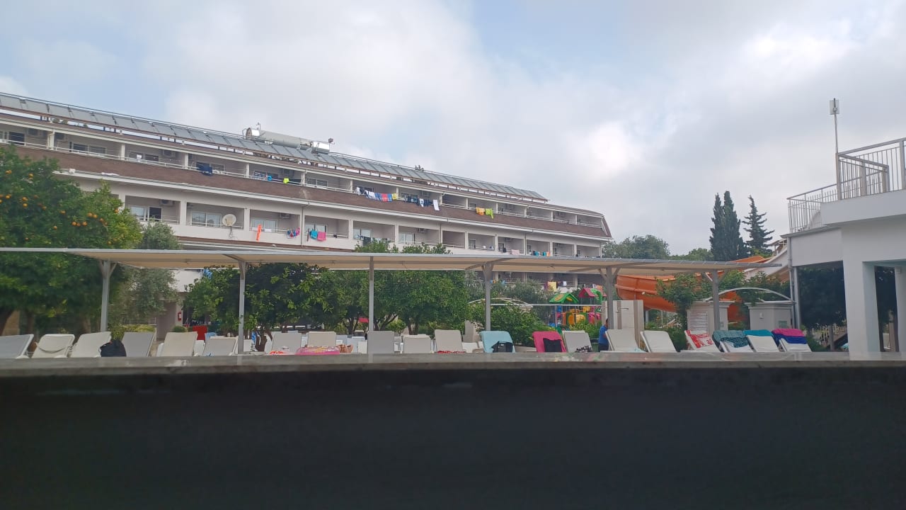 Sonstiges Hotel Catty Cats Garden