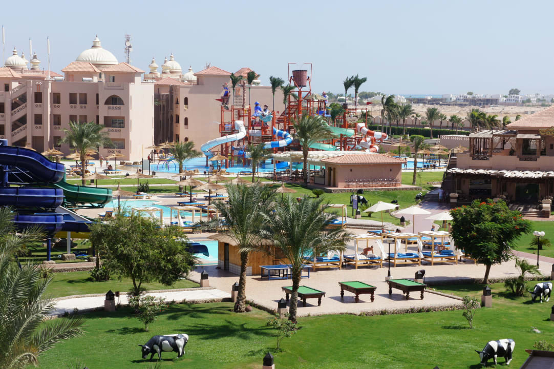 Pasące się krowy :) Pickalbatros Aqua Park Resort - Hurghada