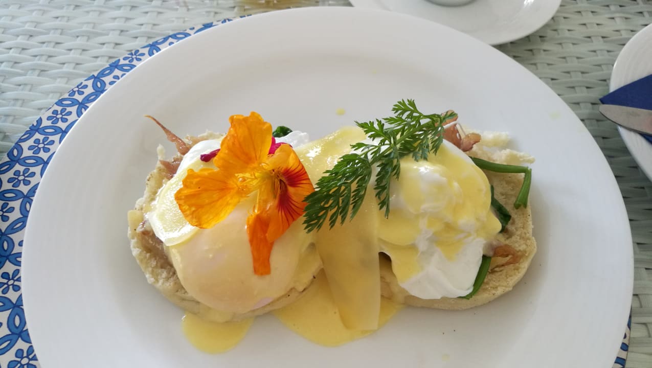 Gastro Amanzi Island Lodge