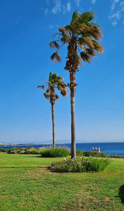 Gartenanlage Hotel Kalithea Horizon Royal
