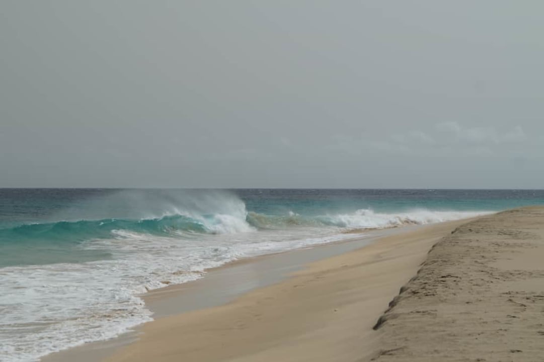 Miejscowa plaża Oasis Salinas Sea