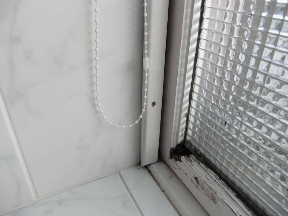 Badfenster Hotel The Royal Highland