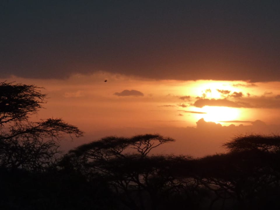 Sonnenuntergang Tawi Lodge