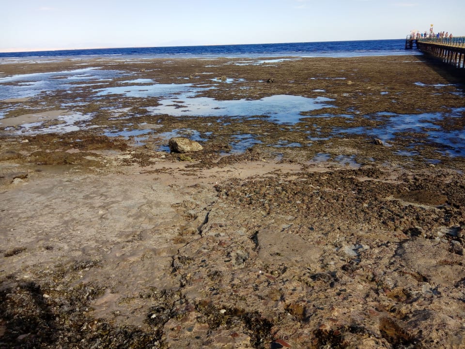 Strand Parrotel Beach Resort