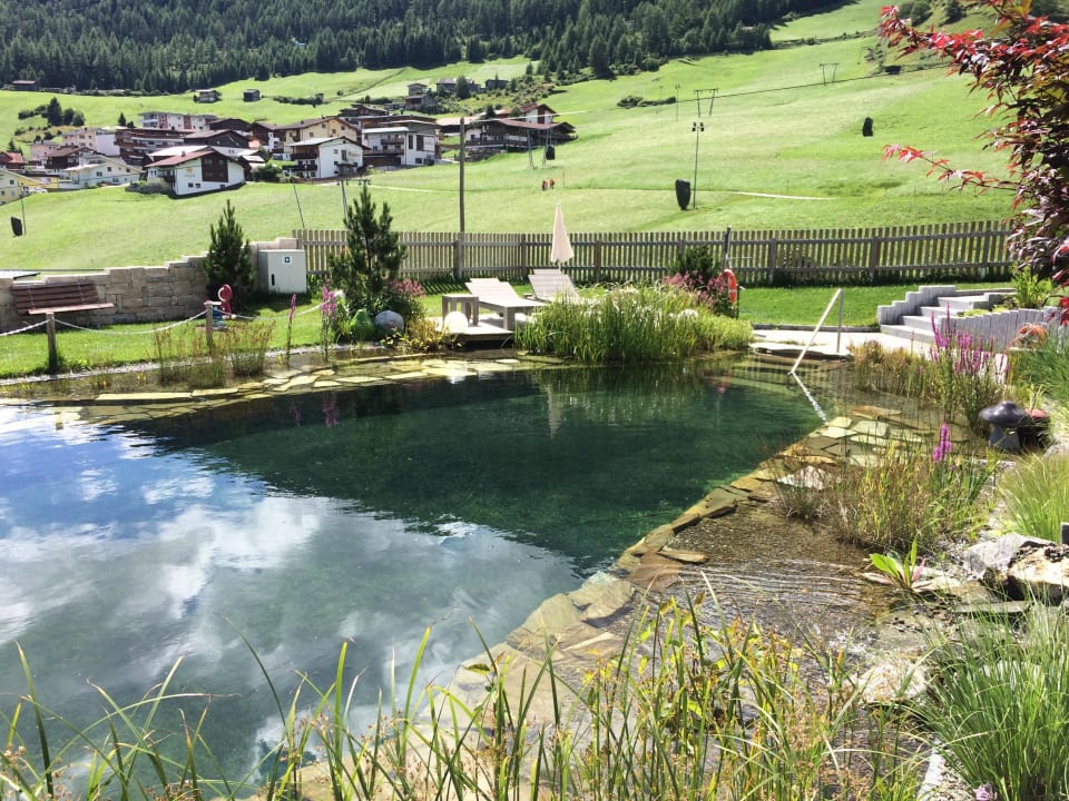 Naturbadeteich Alpengasthof Grüner
