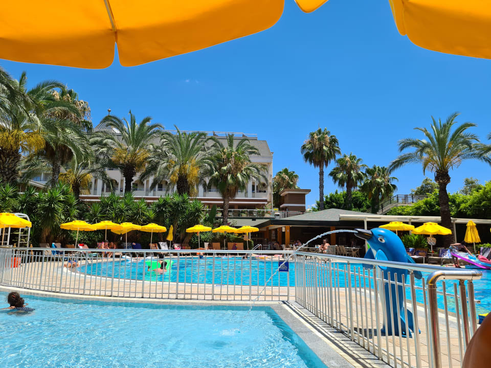 Pool Calimera Hane Garden
