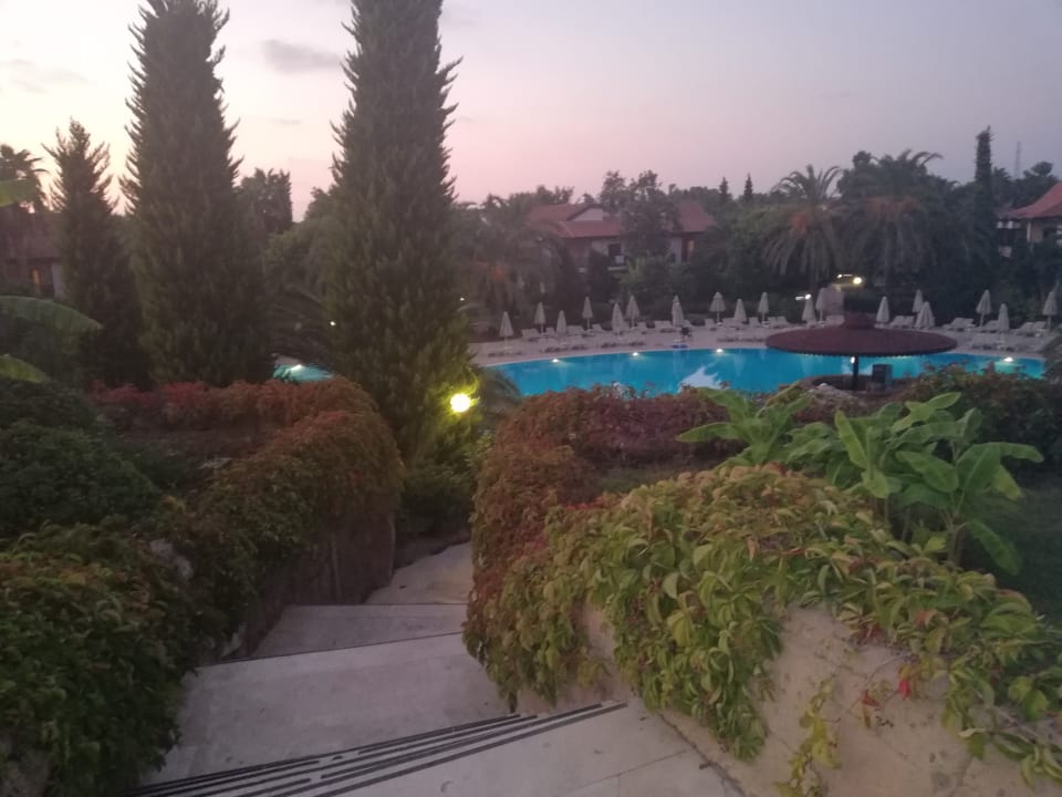 Ausblick Starlight Resort Hotel