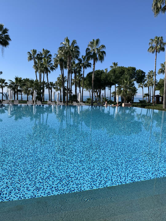 Pool Acanthus Cennet Barut Collection