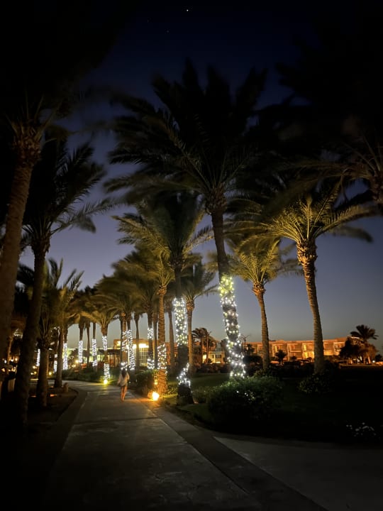 Gartenanlage Palm Royale Resort - Soma Bay