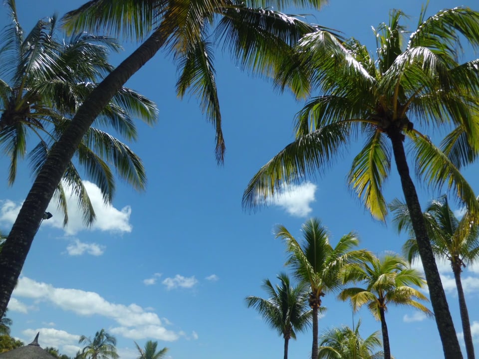 Ausblick Le Meridien Ile Maurice