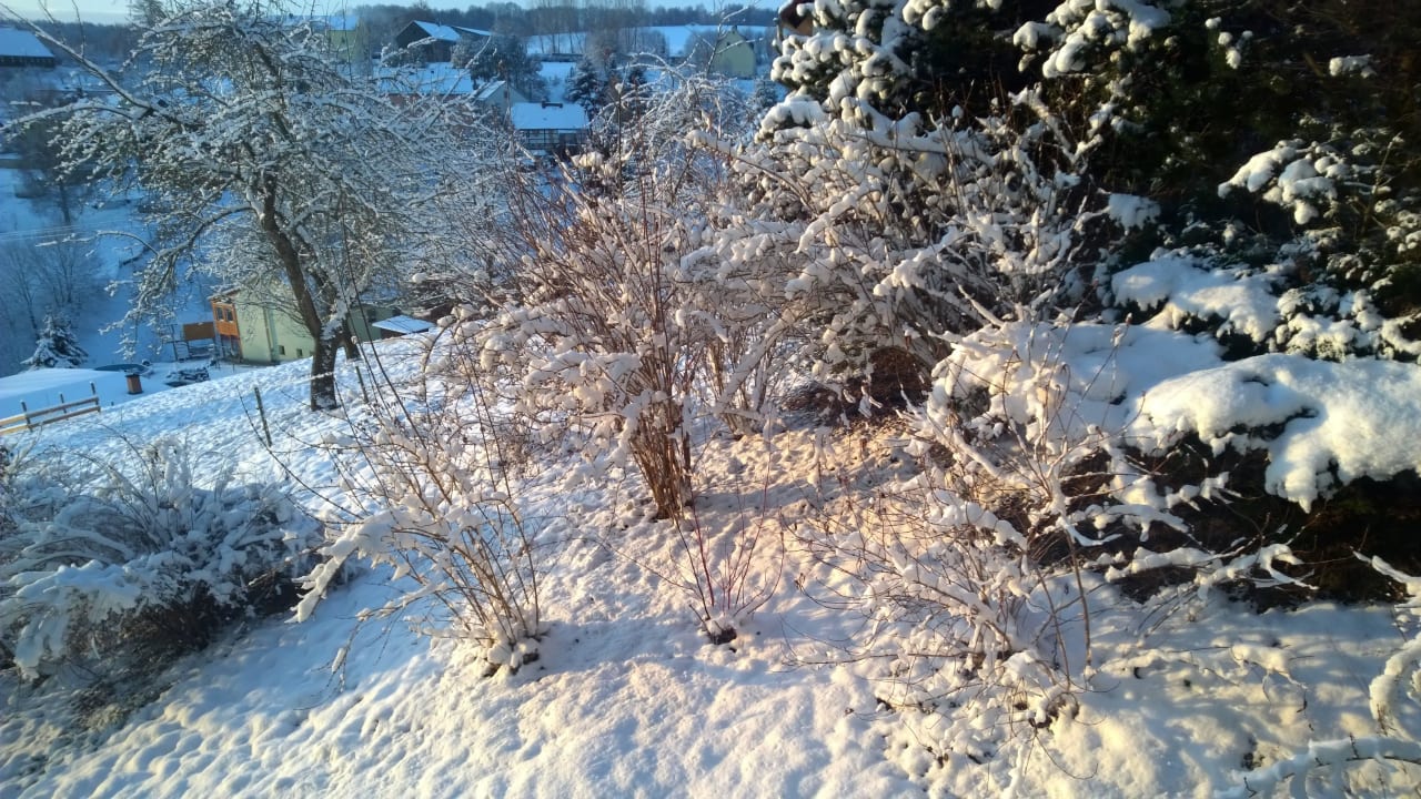 Blick früh am Morgen aus dem Zimmer Bei Gretel AYURVEDA Hotel