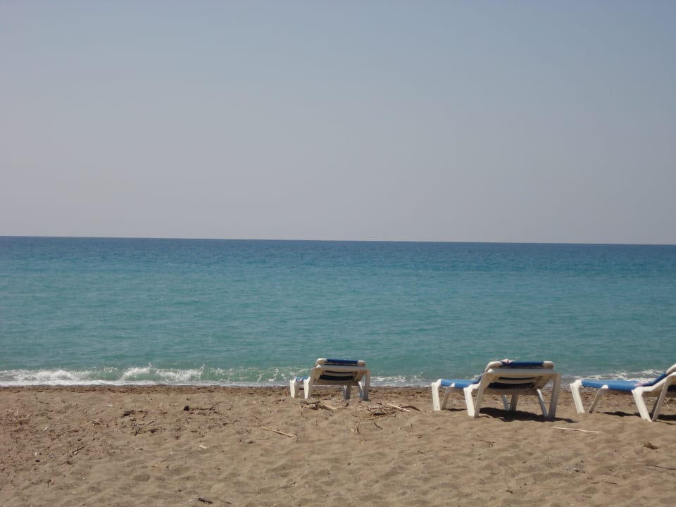 Strand mit Liegen Starlight Resort Hotel