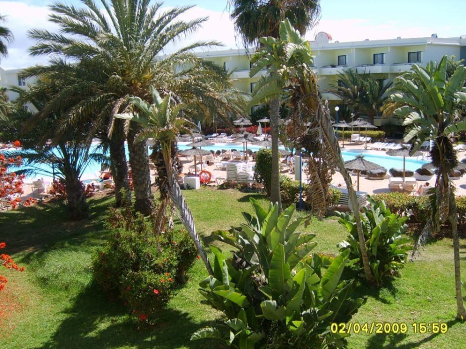 Pool und Garten vom Balkon aus SBH Fuerteventura Playa